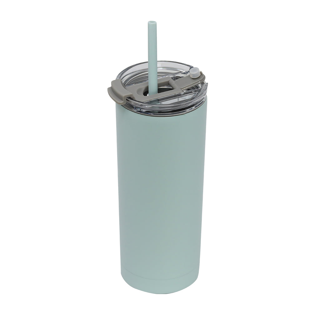 Tumbler with Lid and Straw - 20oz